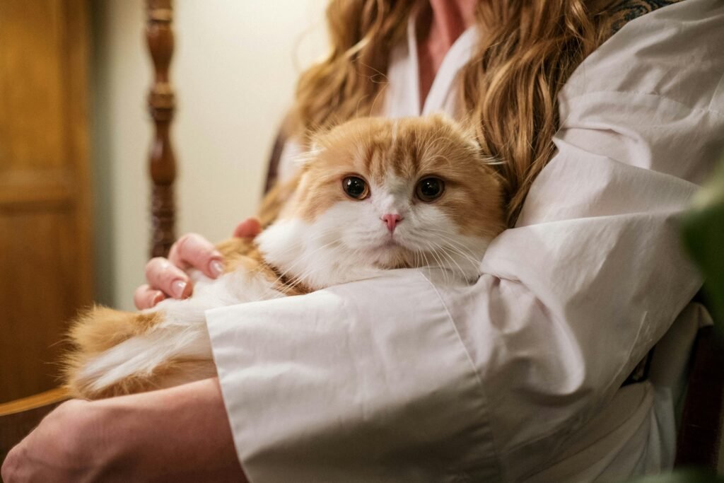 Best Cat Parent