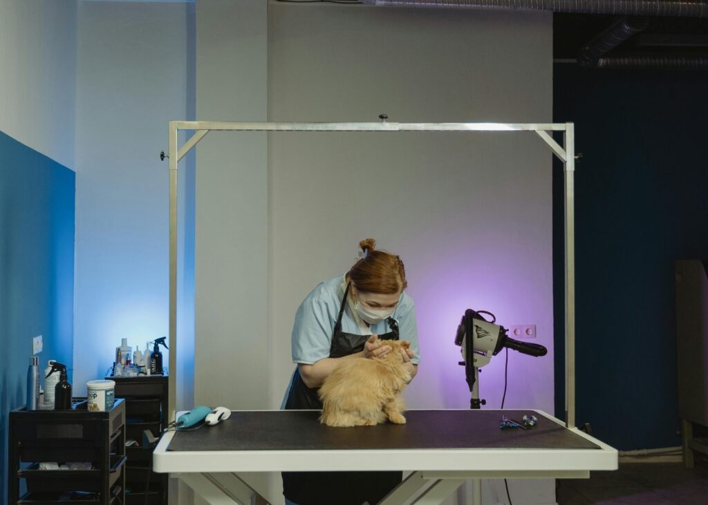 Cat Grooming